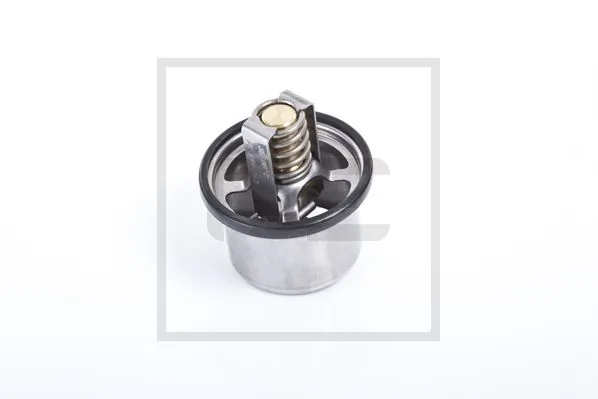 Thermostat, coolant